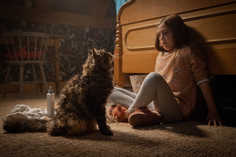 PET SEMATARY review