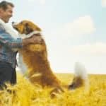 Bring A Dog’s Journey Home in August