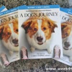 Win a Copy of A Dog’s Journey on Multi-Disc Set!
