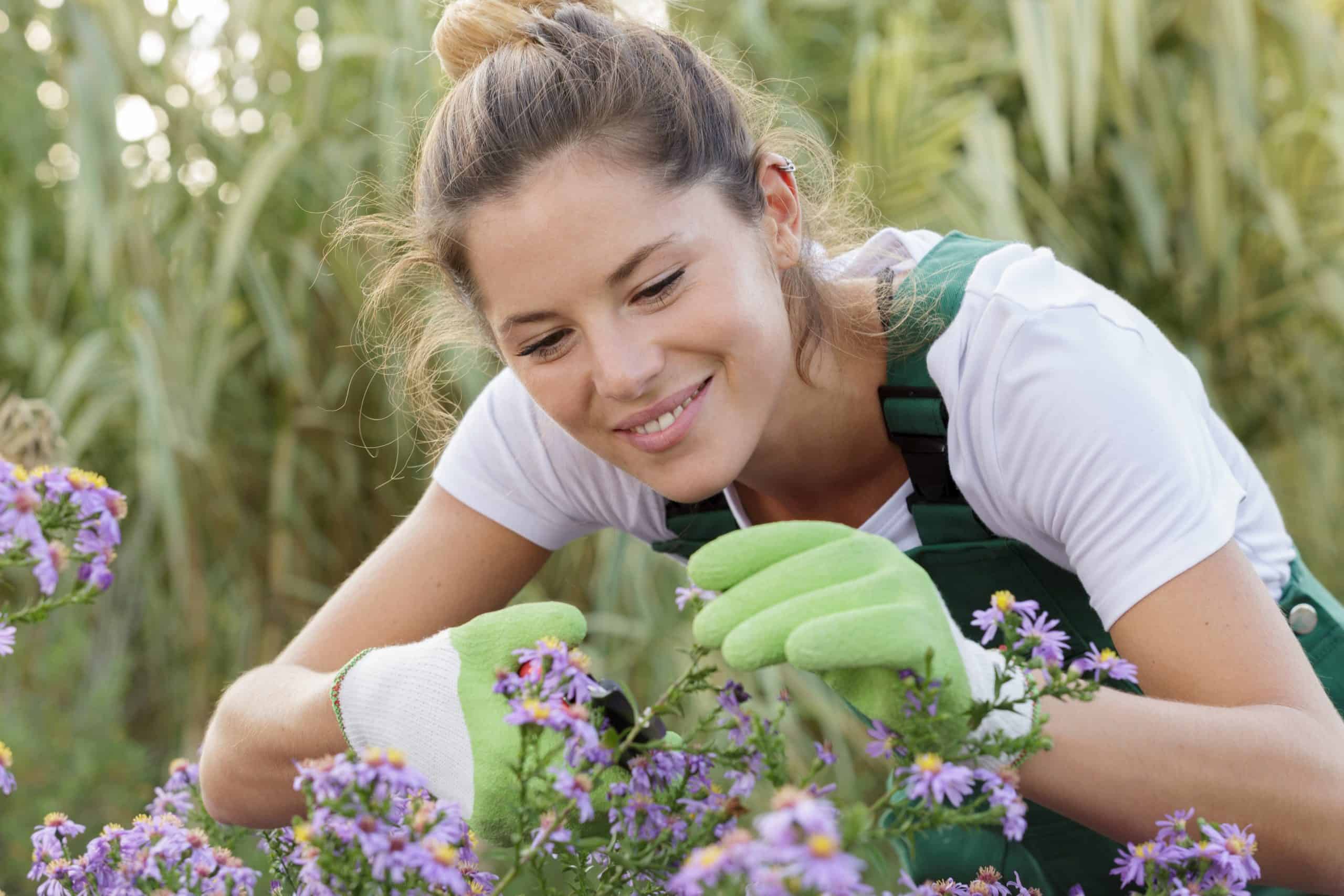 Tips to Becoming a Better Gardener