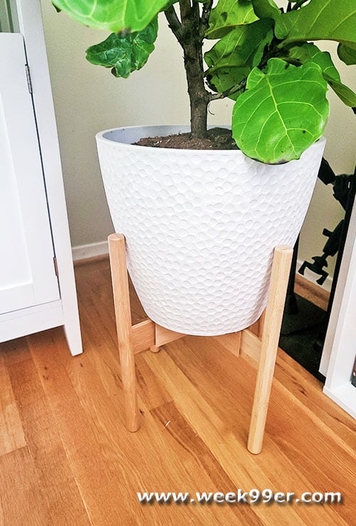 Decluttered Plant Stand Review