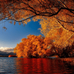 Most Beautiful Autumn Destinations in New Zealand