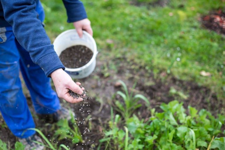 Making Your Own Organic Fertilizer