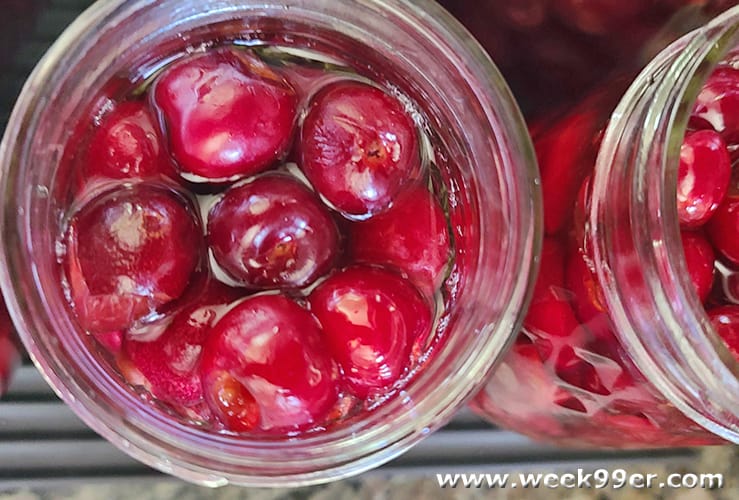 Homemade Maraschino Cherry Recipe + Canning Instructions