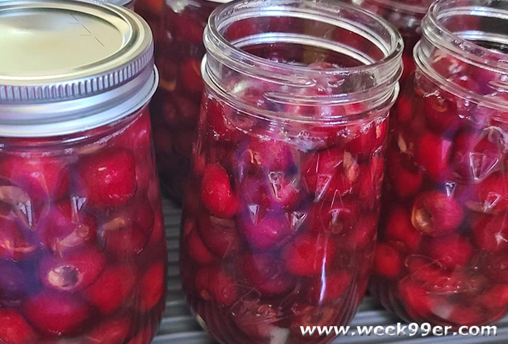 Homemade Maraschino Cherry Recipe with Canning instructions